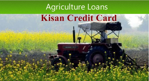 अगर चाहते है खेती के लिए सस्ता कर्ज मिले तो सिर्फ इन कागजो की मदद से बनवाये किसान क्रेडिट कार्ड अगर चाहते है खेती के लिए सस्ता कर्ज मिले तो सिर्फ इन कागजो की मदद से बनवाये किसान क्रेडिट कार्ड